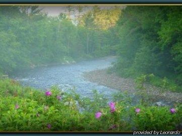 Cannon Mountain View Motel Franconia Exterior foto